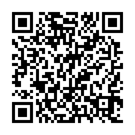 QR code for GUZ 313