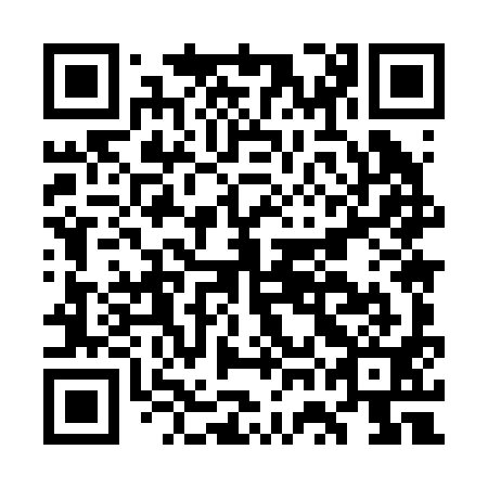 QR code for GWM291
