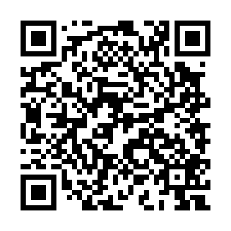 QR code for HAN 009