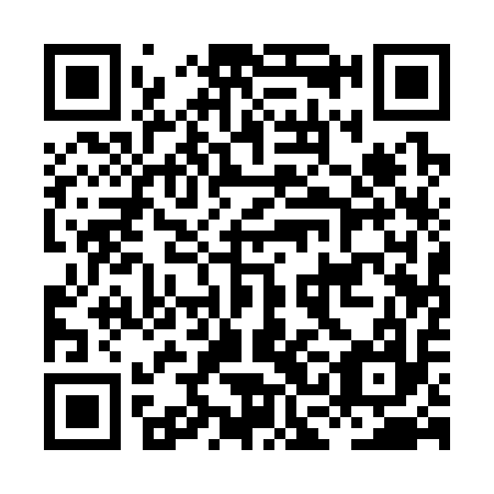 QR code for HCA317
