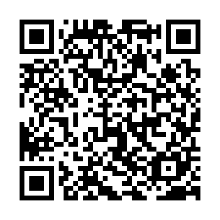 QR code for plate HFK 305