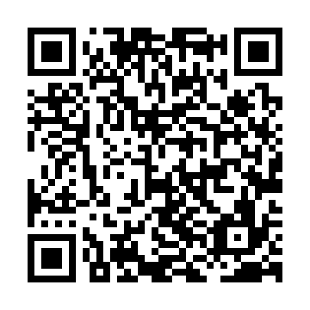 QR code for HFL336