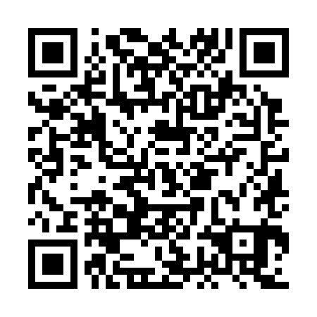 QR code for plate HGK 381