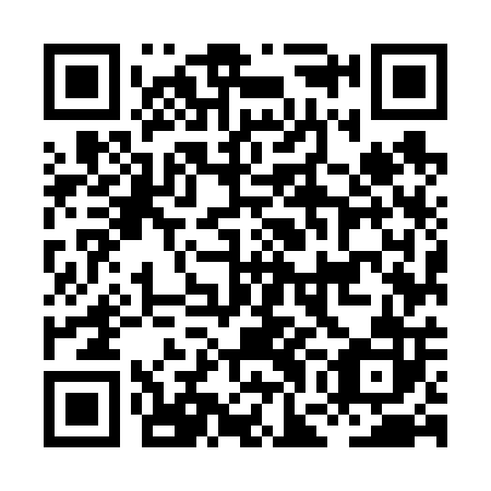 QR code for plate HGM 602