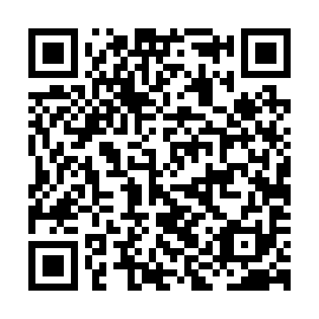 QR code for plate HIT 291