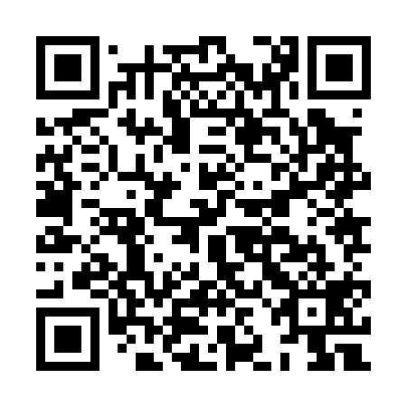 QR code for plate HJJ 019