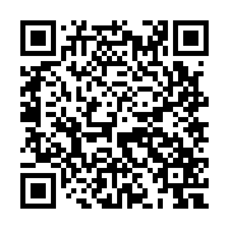 QR code for plate HJJ 167