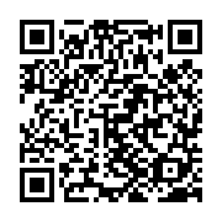 QR code for plate HJN 449