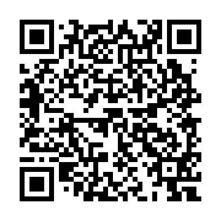 QR code for plate HJP 391
