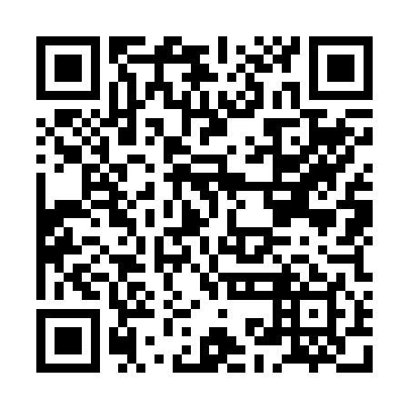 QR code for plate HKO 249
