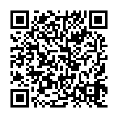 QR code for HLI919