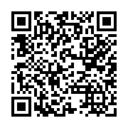 QR code for HQG 385
