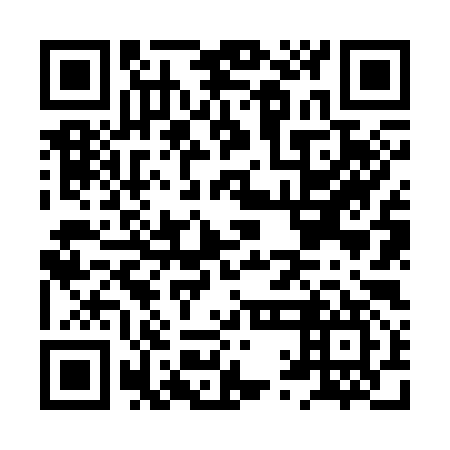 QR code for plate HQN 397