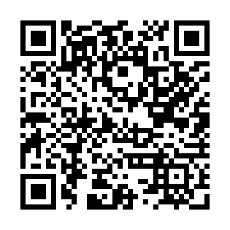 QR code for plate HSG 963
