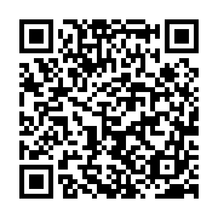QR code for plate HSL 163