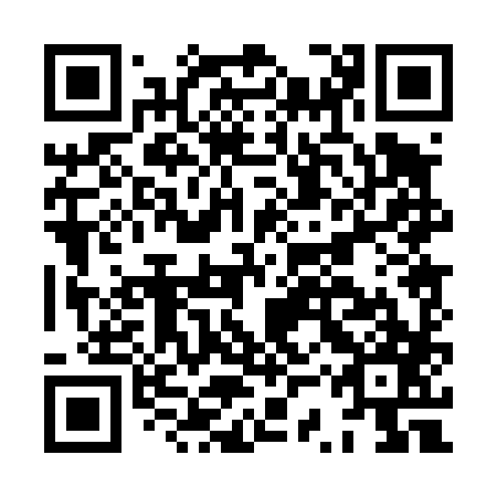 QR code for HSP 487