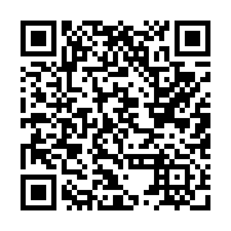 QR code for plate HUE 413