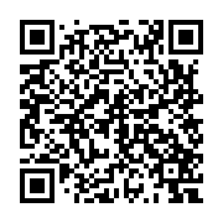 QR code for plate HVG 907