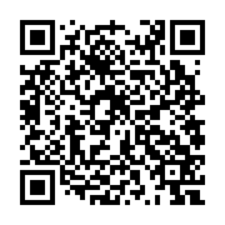 QR code for plate HXF 363