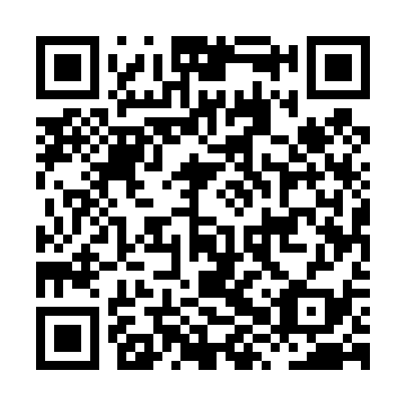 QR code for plate HXU 439