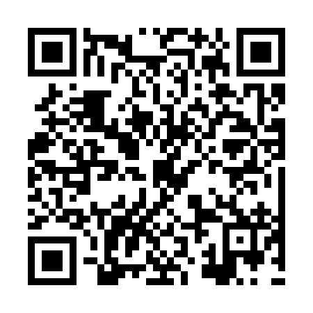 QR code for plate HZB 392