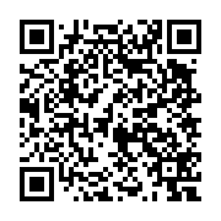 QR code for HZZ 419