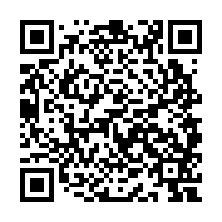 QR code for plate IAF 383