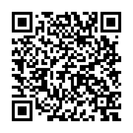 QR code for IAP 133