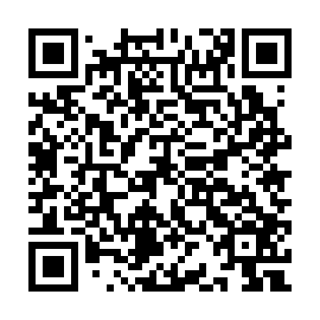 QR code for IBE 306