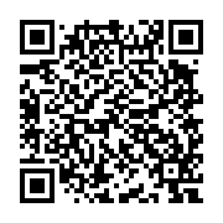 QR code for plate IBG 497