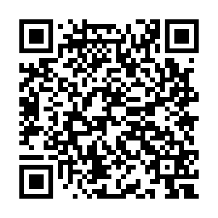 QR code for IBM 161