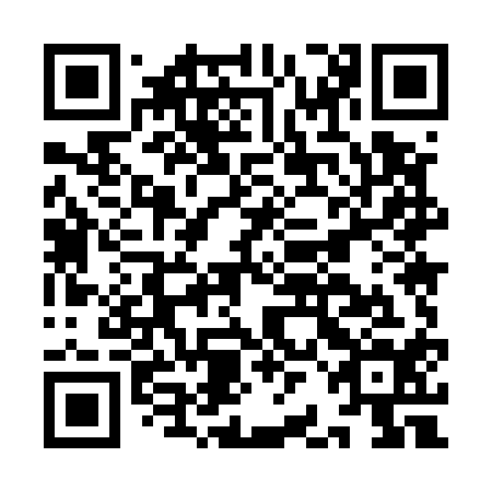 QR code for plate IBM 514