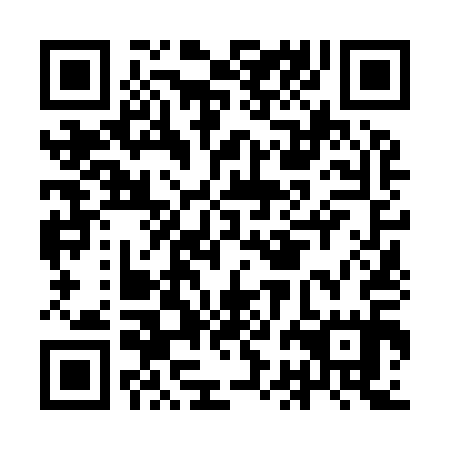 QR code for plate IBN 915