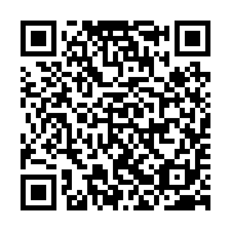 QR code for IBS 291