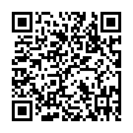 QR code for IBS 993