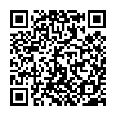 QR code for ICA495