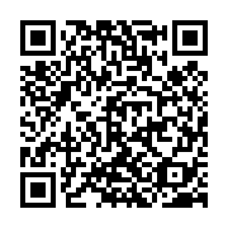 QR code for plate ICE 479