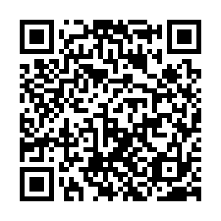 QR code for ICG333
