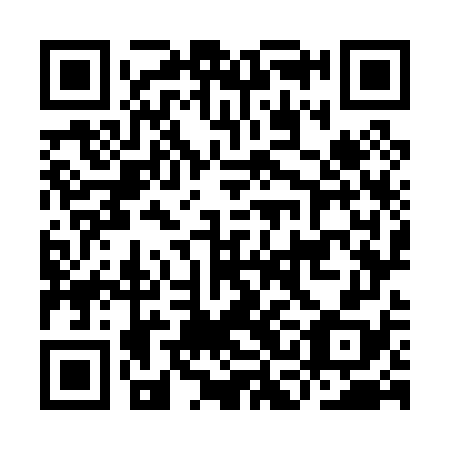 QR code for ICO 078