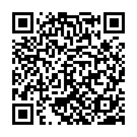 QR code for ICO 971