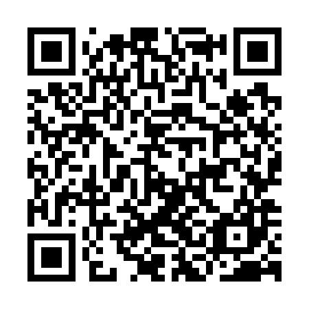 QR code for ICO787