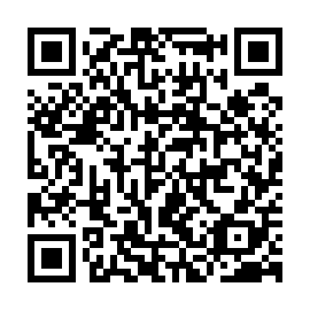 QR code for plate ICW 508