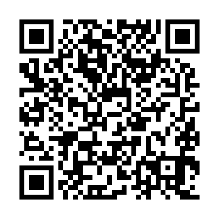 QR code for IDF 991