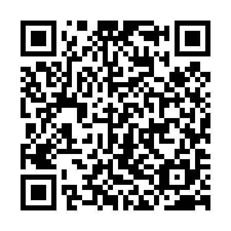 QR code for IDM 495