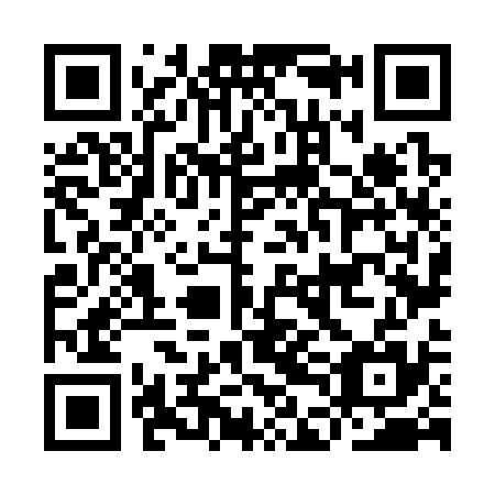 QR code for plate IDN 335