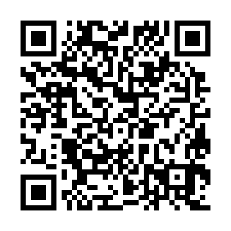 QR code for IDW 383