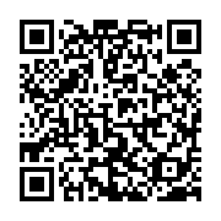 QR code for IDZ 519