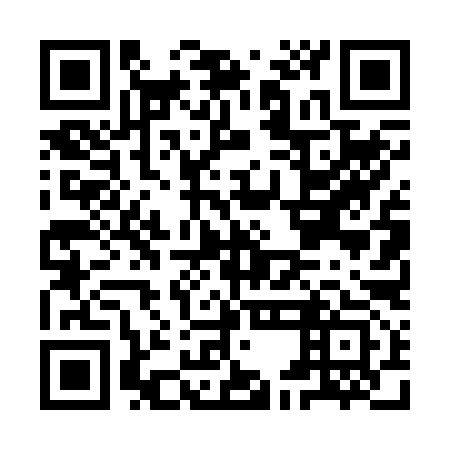 QR code for plate IED 293