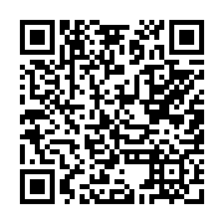 QR code for IEE669