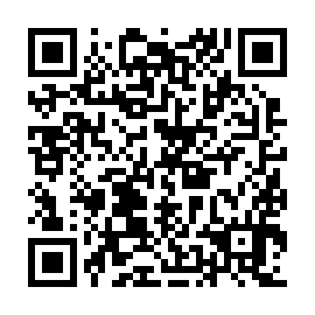 QR code for IEF294